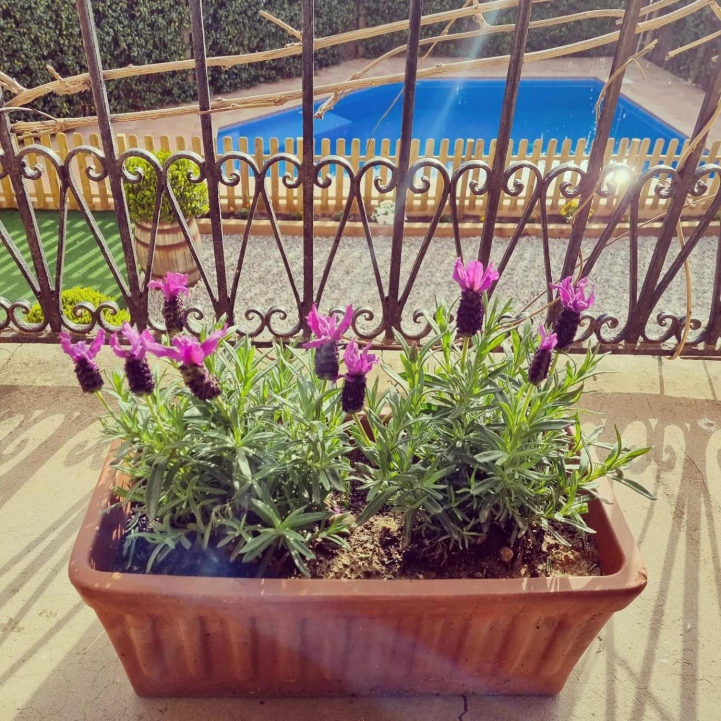 Casa Con Piscina Privada En Gualta, Can Blay מראה חיצוני תמונה